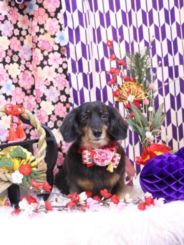 20250111モカちゃん